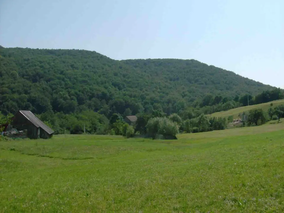 Stațiunea Băile Chirui