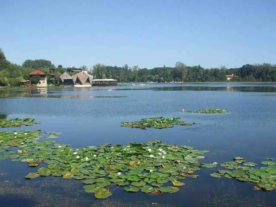 Stațiunea Neptun