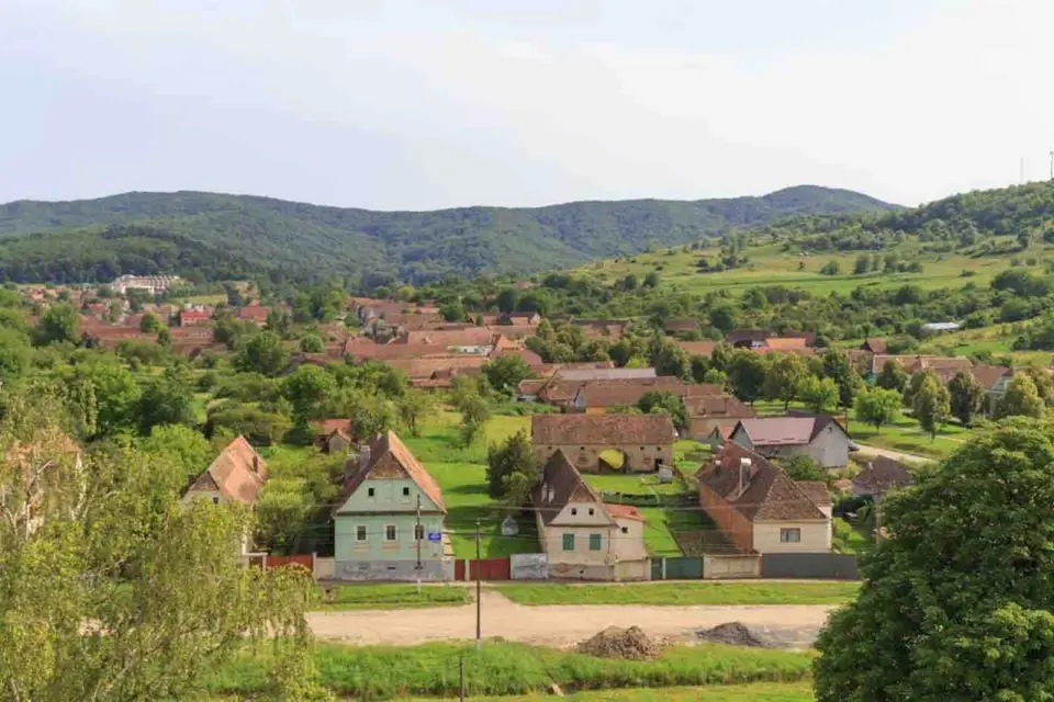 afecțiuni tratatate la Bazna