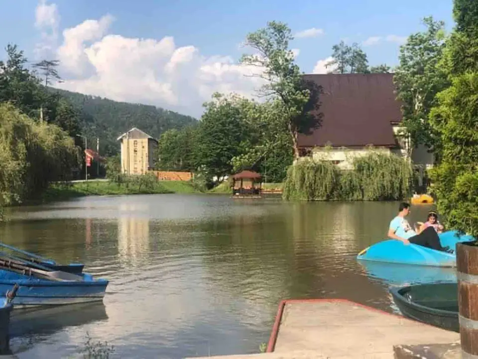 afecțiuni tratatate la Moneasa