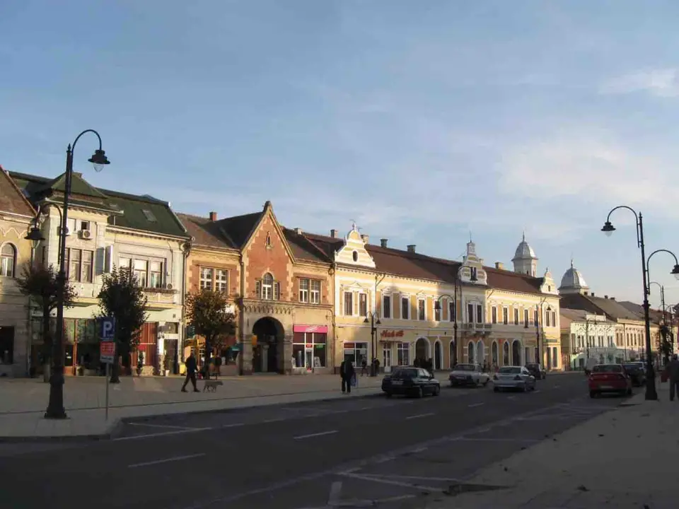 afecțiuni tratate la Turda