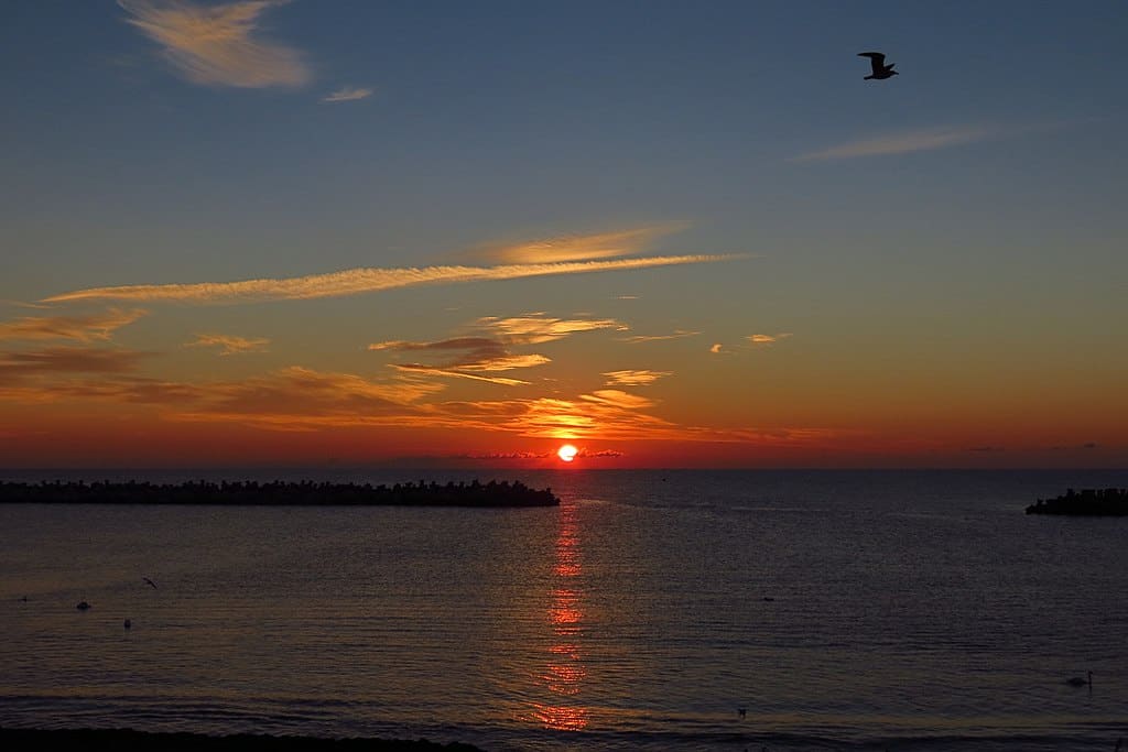 afectiuni tratate la Mangalia