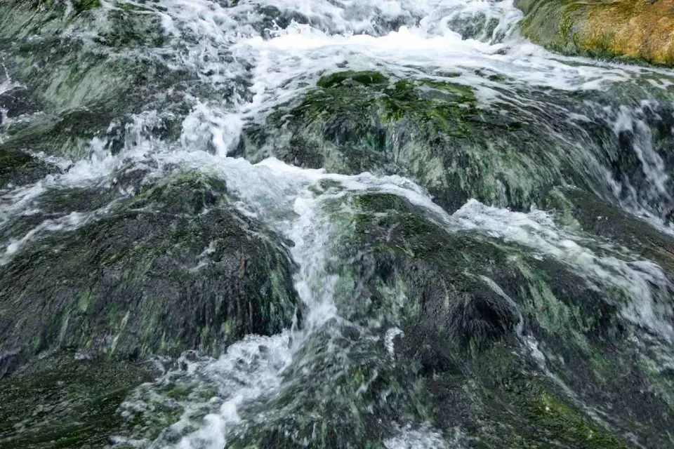 Foto: arhiva site-ului Bazin termal natural, fotografia 5