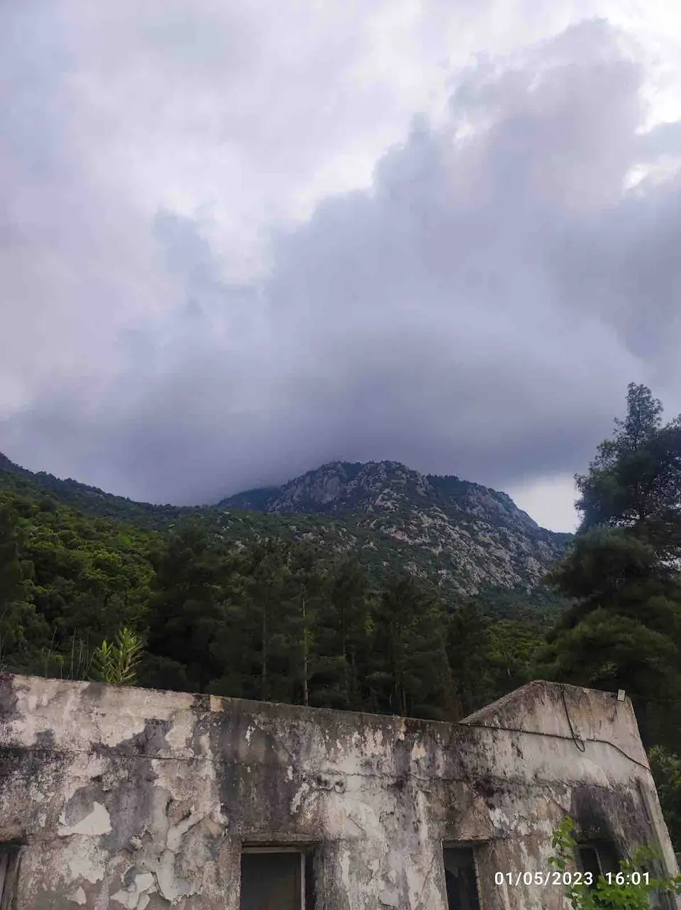 Foto: arhiva site-ului Bazin termal natural, fotografia 7
