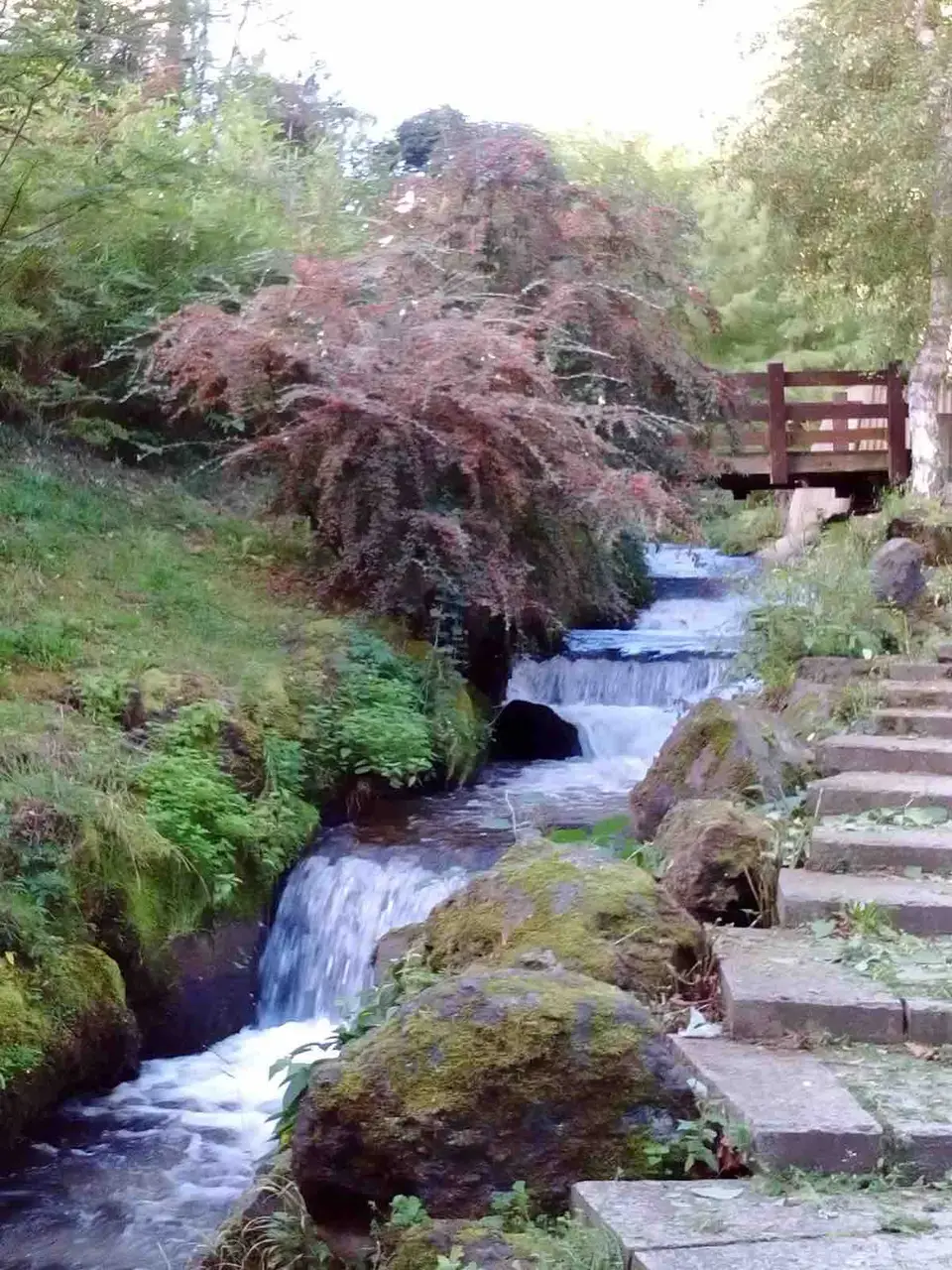Foto: arhiva site-ului Stațiunea Royat Spa, fotografia 7