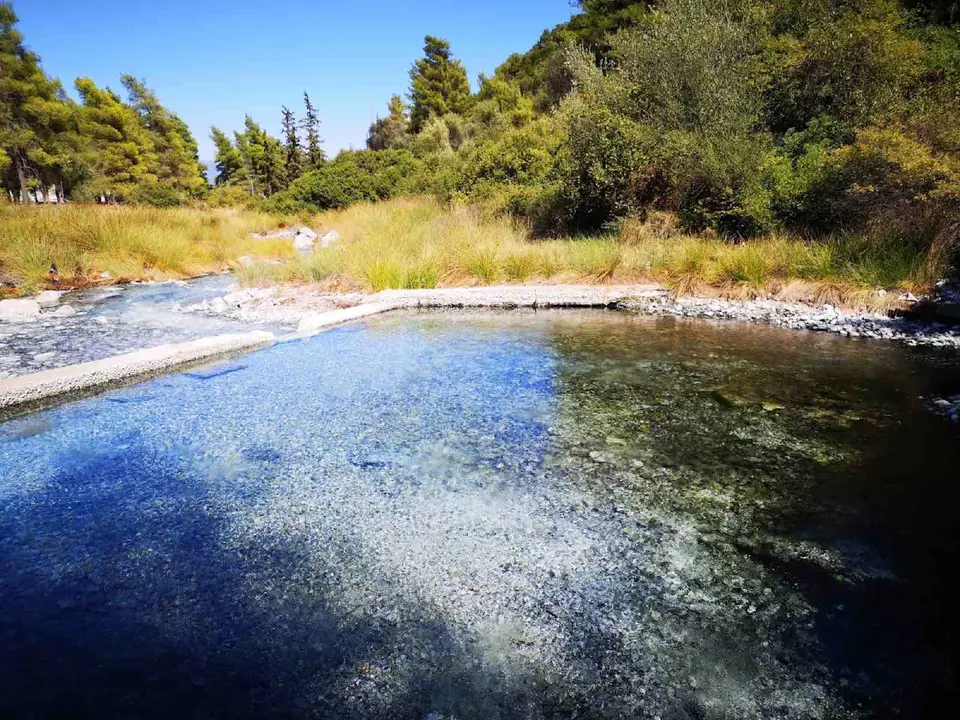 Foto: arhiva site-ului Bazin termal natural, fotografia 4