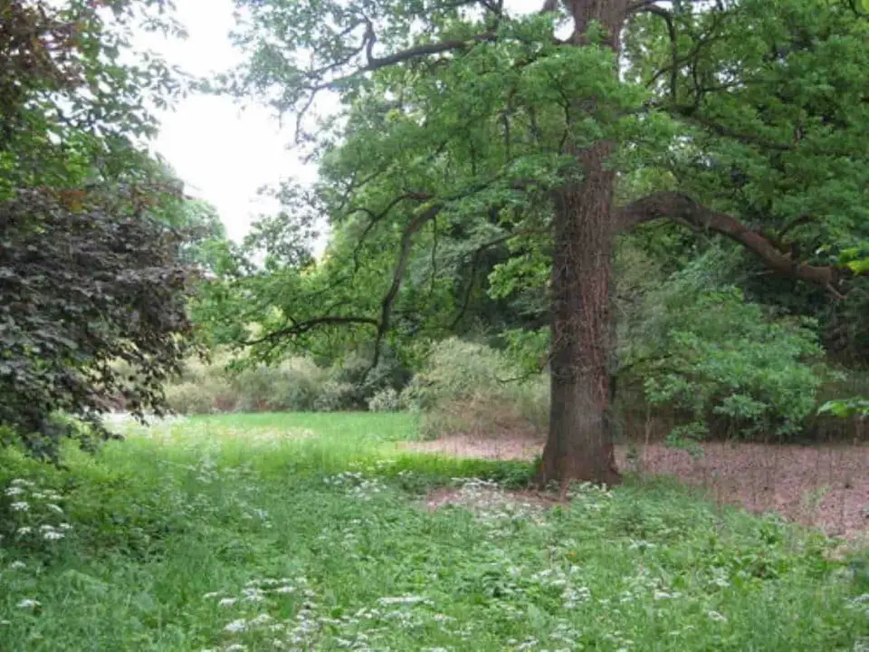 Parcul Dendrologic