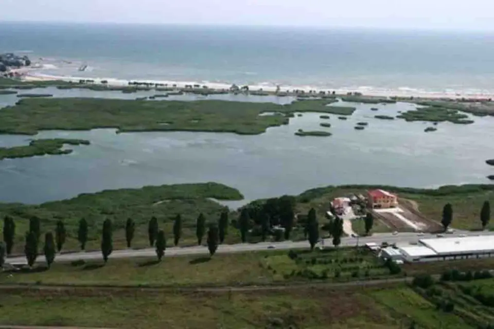 Mlastina Hergheliei Mangalia