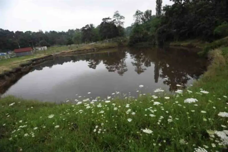 Foto: arhiva site-ului Lacurile Ocna Sibiului, fotografia 4