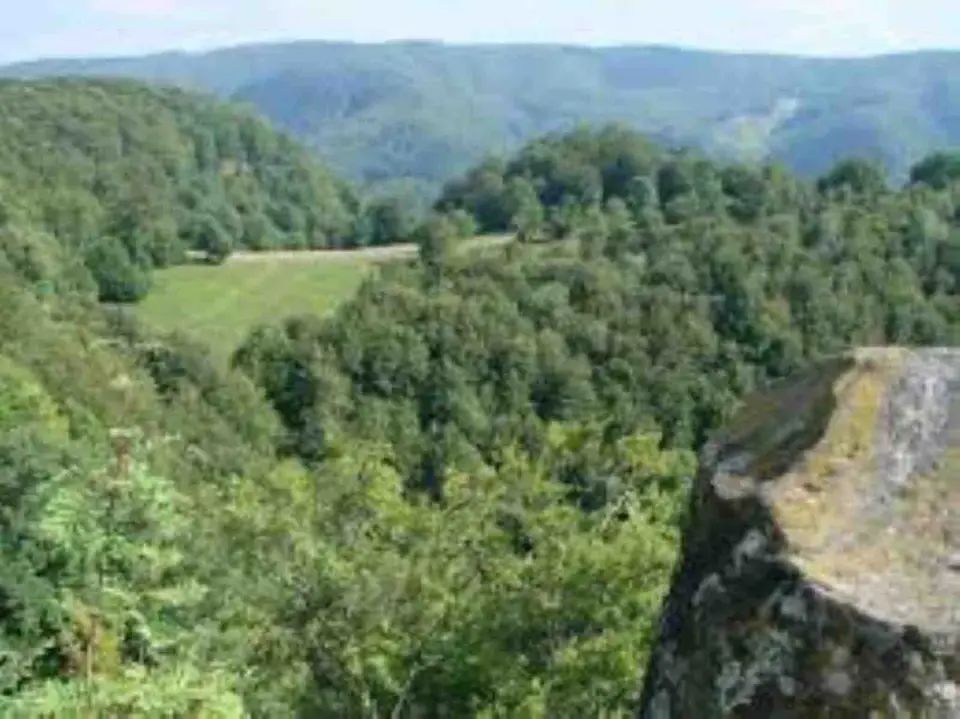 Cetatea medievală Rapsonné