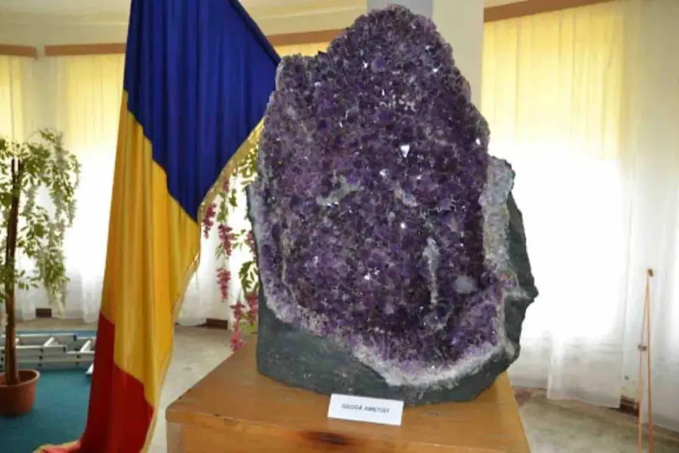 Foto: arhiva site-ului Muzeul Flori de Mină, fotografia 4