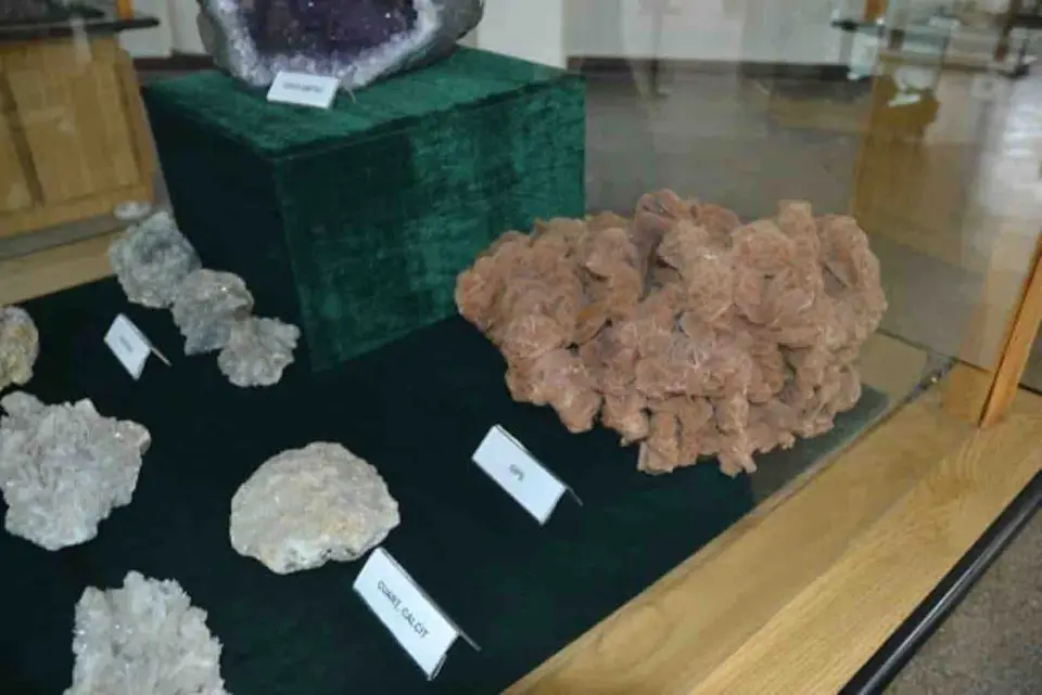 Foto: arhiva site-ului Muzeul Flori de Mină, fotografia 5