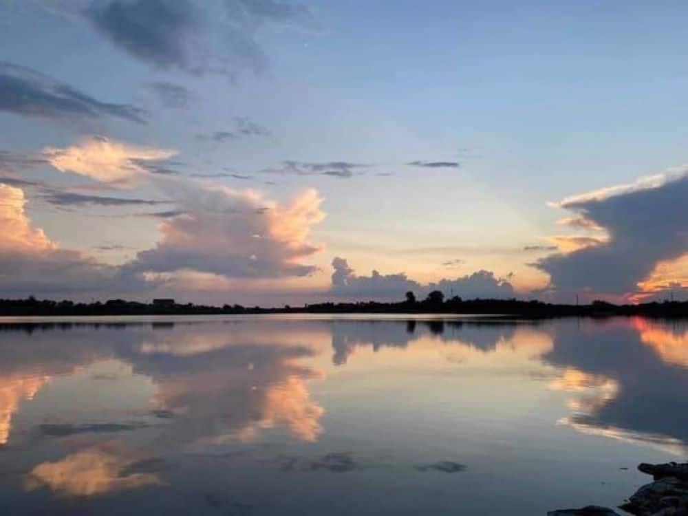 Afectiuni tratate la Amara