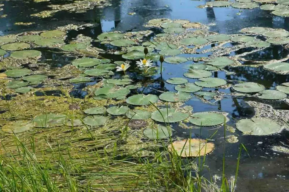 Lacul termal Peta