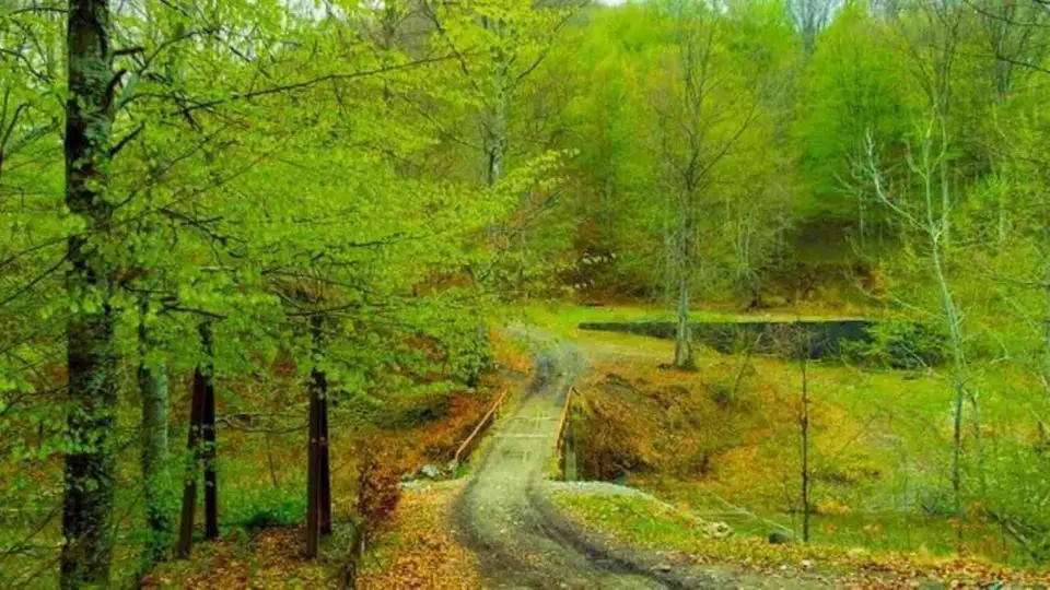 Traseul Băile Olănești – Valea Olănești – Cantonul Silvic Mânzu – Cheile Olănești – Vf. Folea